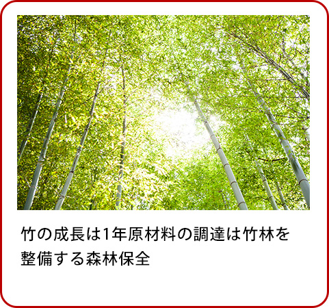 竹の成長は1年原材料の調達は竹林を整備する森林保全