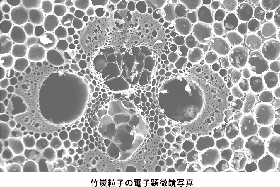竹炭粒子の電子顕微鏡写真
